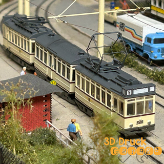 2501 Klapperschlange